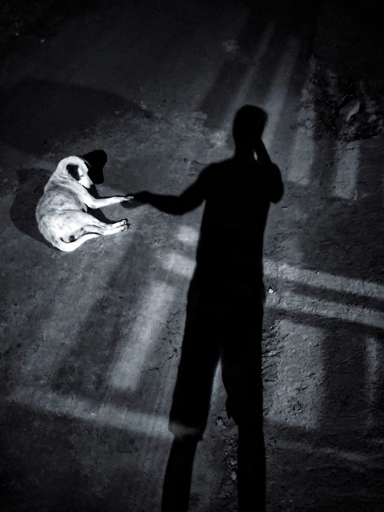 Photograph by Amit Bagde