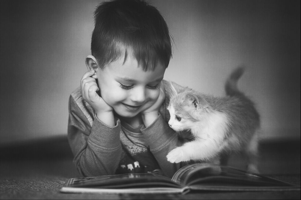 Photograph by Андрей Сердюченко