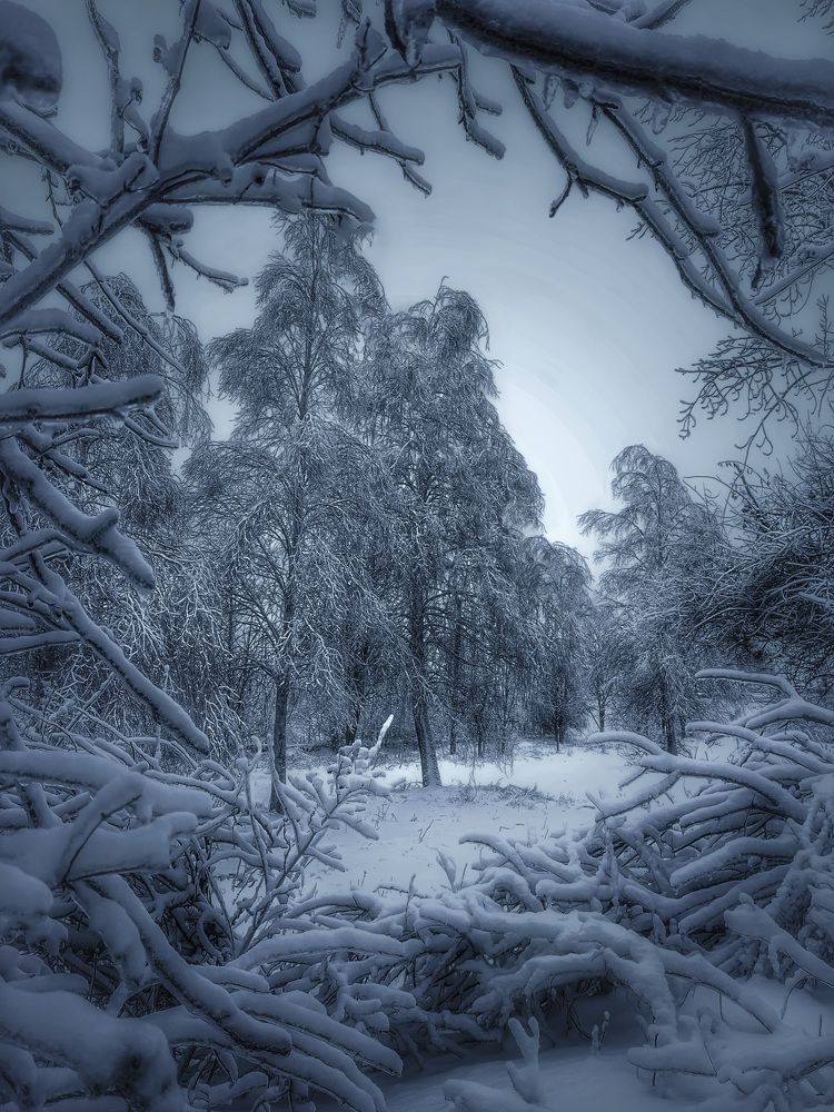 Photograph by Виталий Бокиев