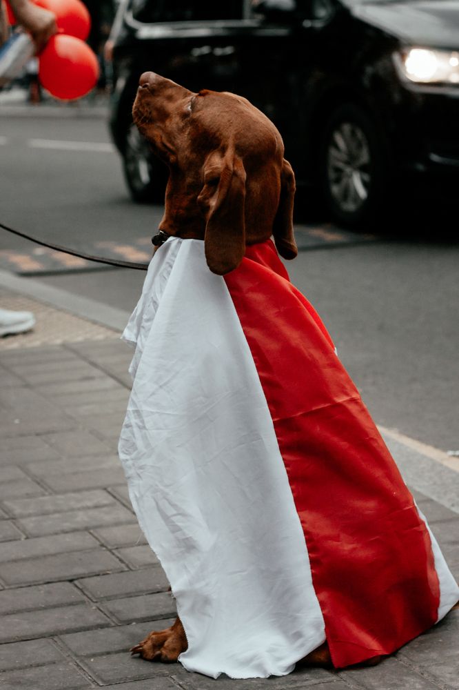 Photograph by Наталья