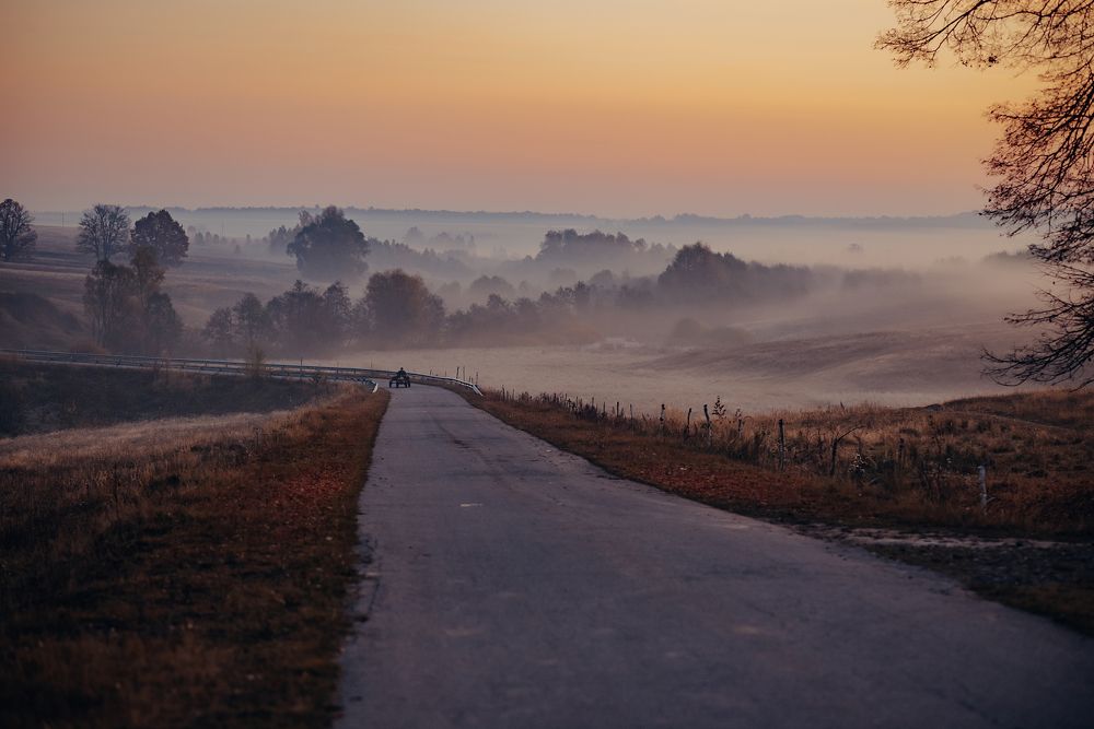 Photograph by ольга николаева