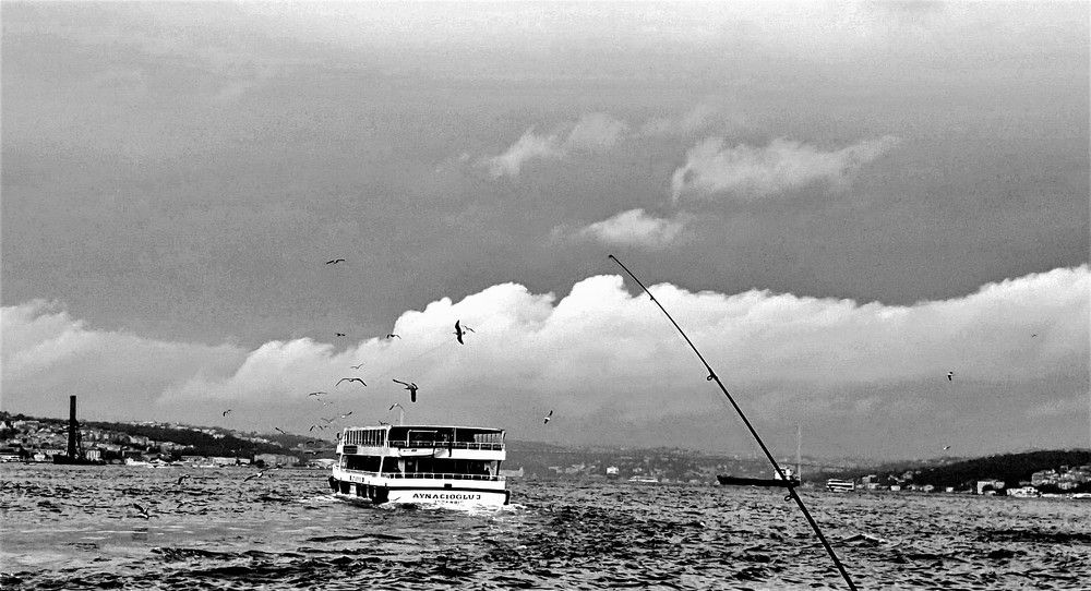 Photograph by Esmaeil Razaghi