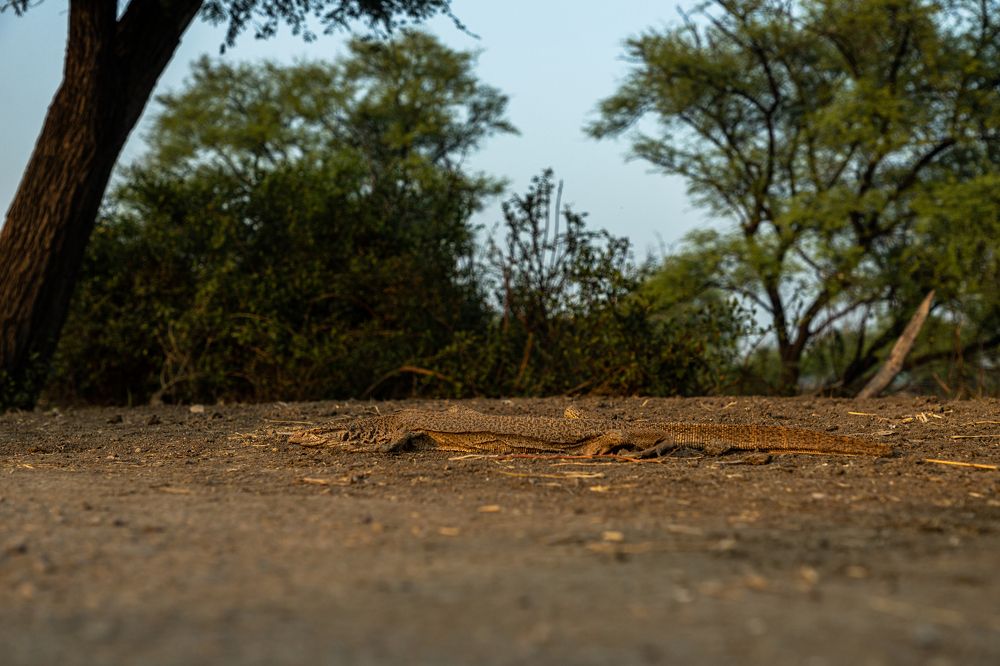 Photograph by Shivendra Singh