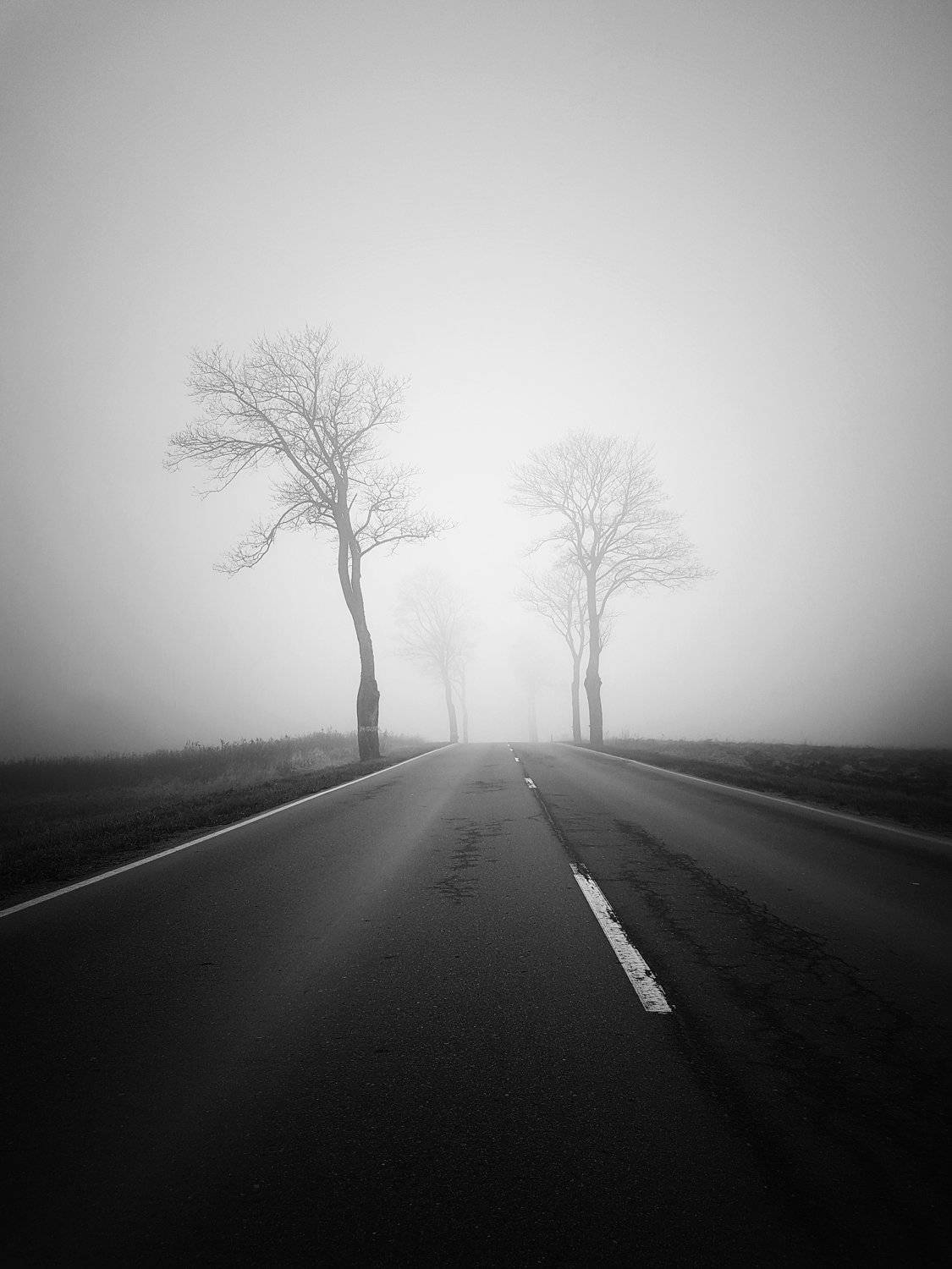Photo #5631562