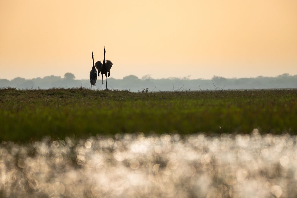 Photograph by Shivendra Singh