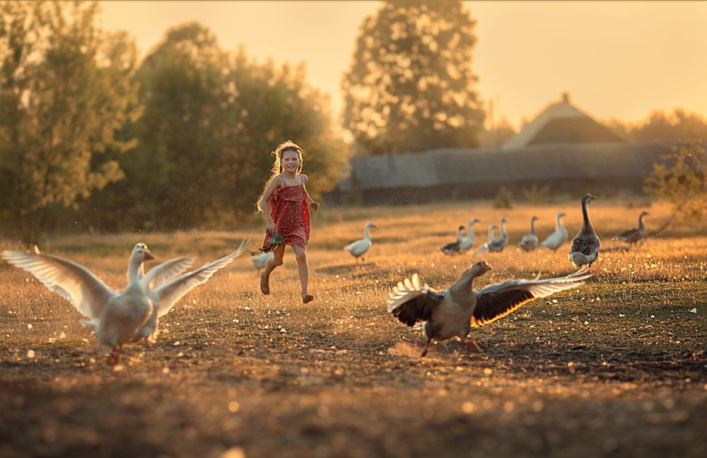 Девочка и гуси