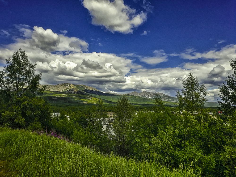 Photograph by Tatyana Romanova