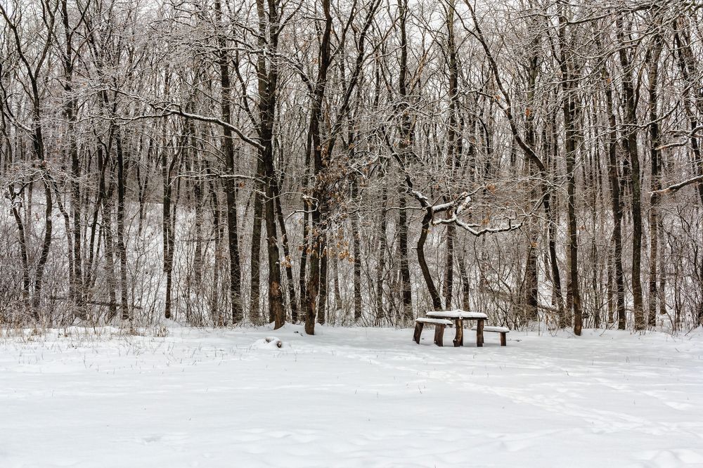 В зимнем лесу, есть такое место..