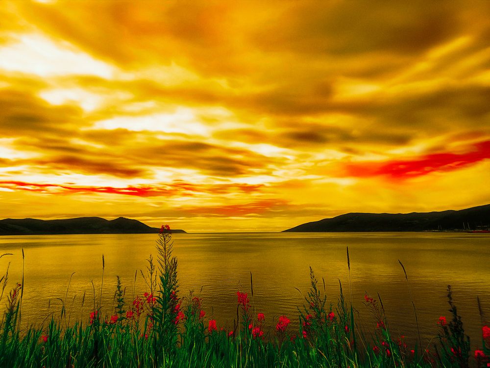 Photograph by Tatyana Romanova