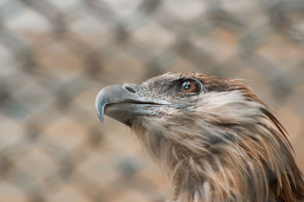 Photograph by Zayed Sanim