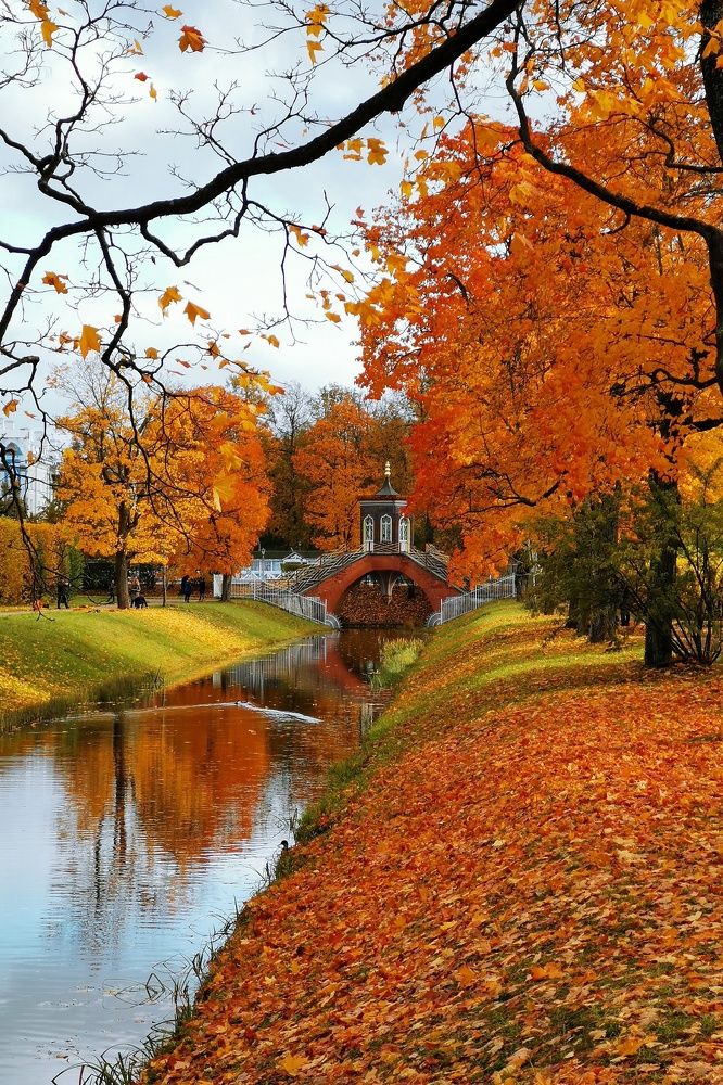 Photograph by Анна Сохрякова