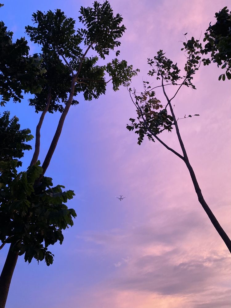 Photograph by Sabbir Ahmed Seam