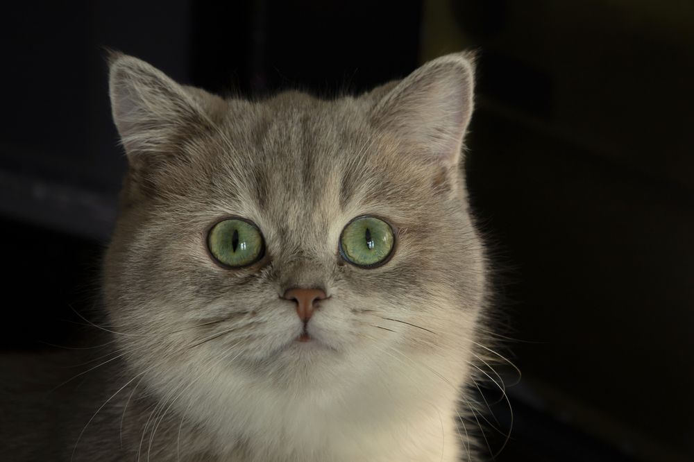 Photograph by Юлия Лазебная