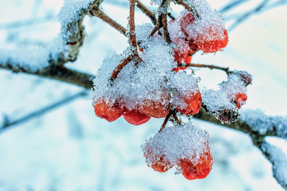 Во власти кристаллов..