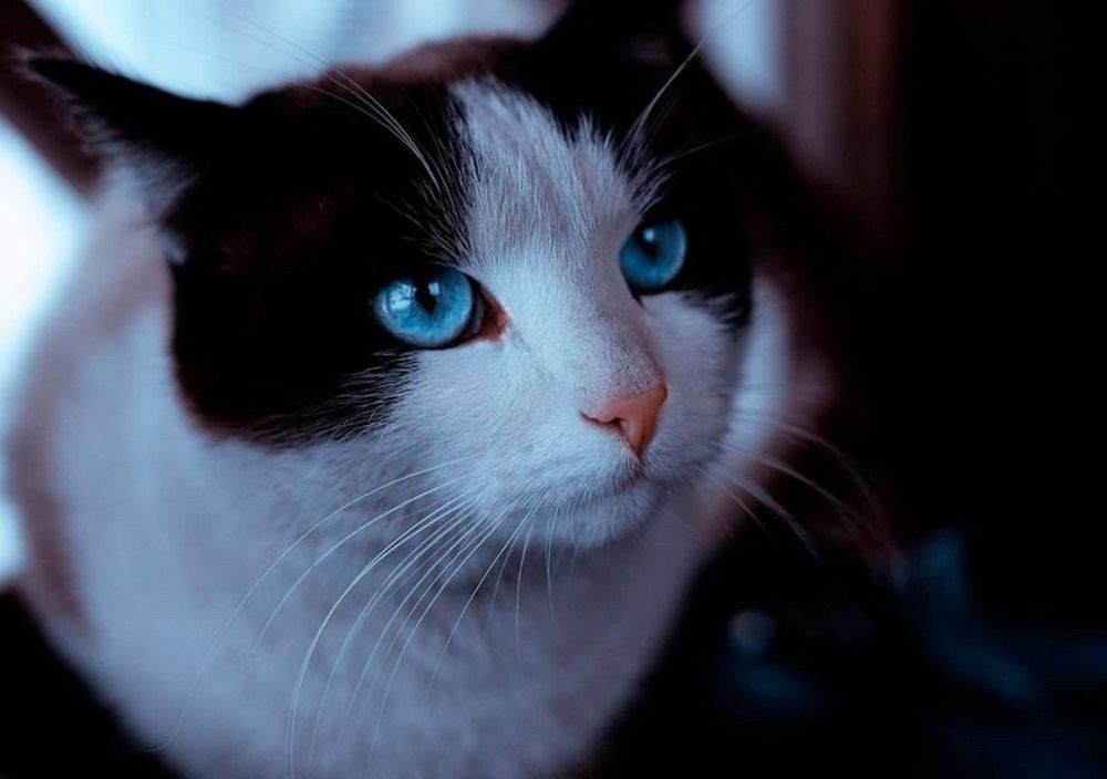 Photograph by ИРЕНА Федорова