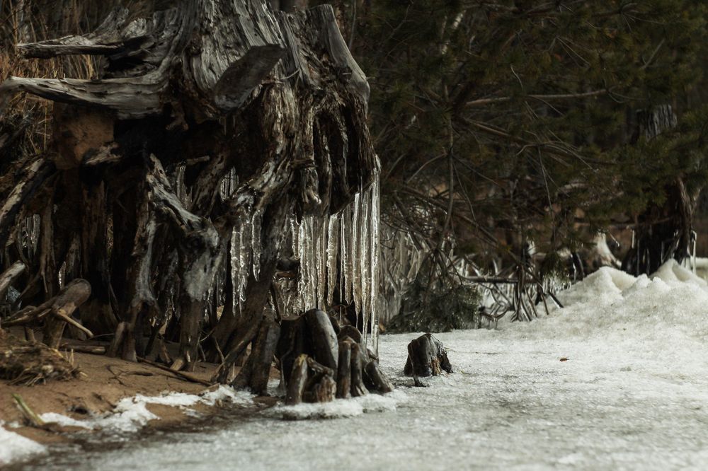 Photograph by Павел