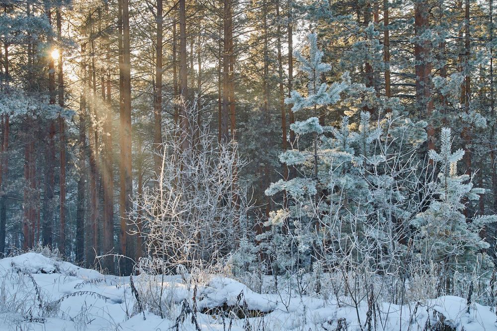 Photograph by КОНСТАНТИН ГОРДЕЕВ