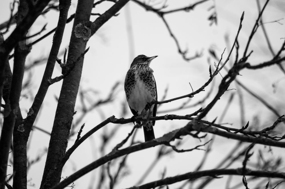 Photograph by Константин