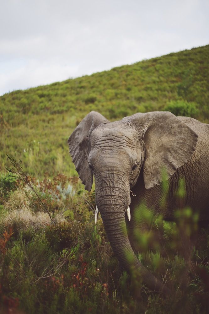 Photograph by Sofia Ershova