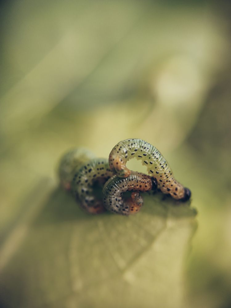 Photograph by Мария Фак