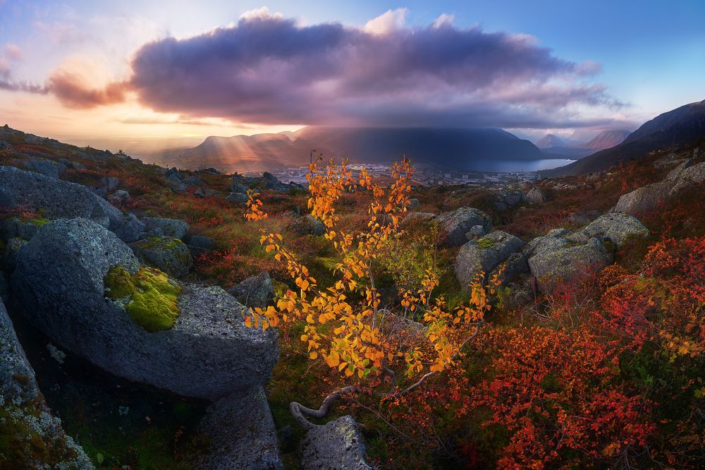 Photograph by Konstantin Voronov