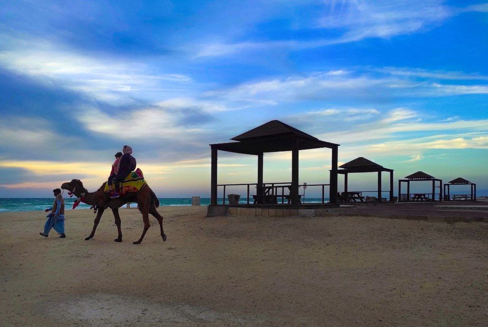 Photograph by Fatemeh Rezaei