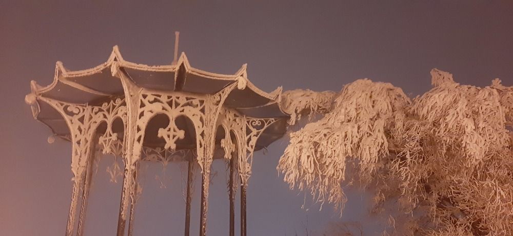 Photograph by Елена Проценко