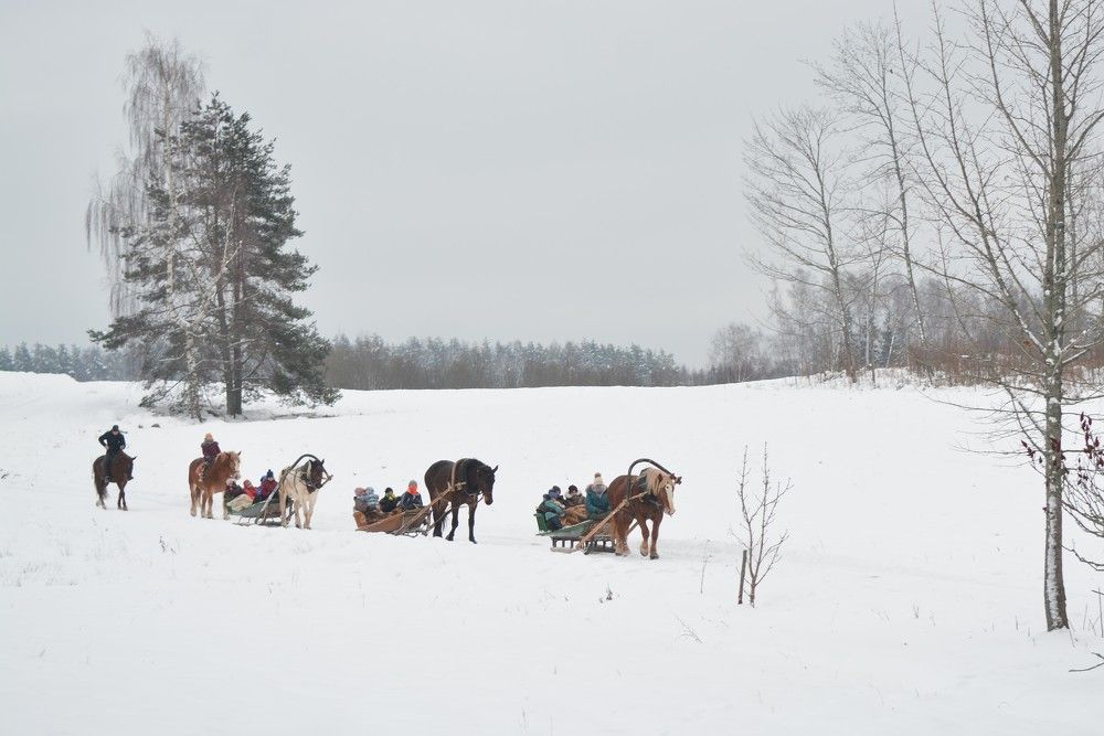 Photograph by Ilze Onzule