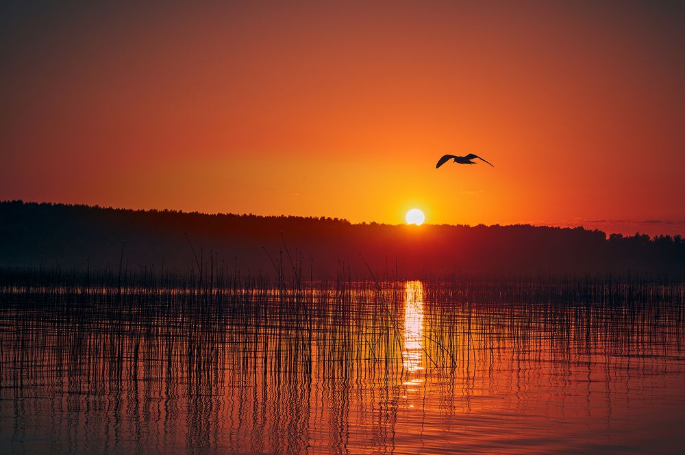 Photograph by Александр Заяц