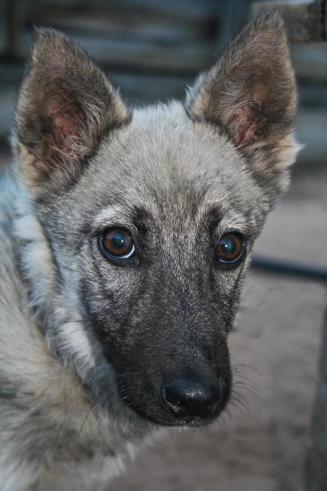 Photograph by Олег Ловцов