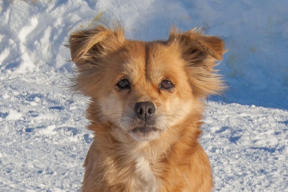 Photograph by Олег Ловцов