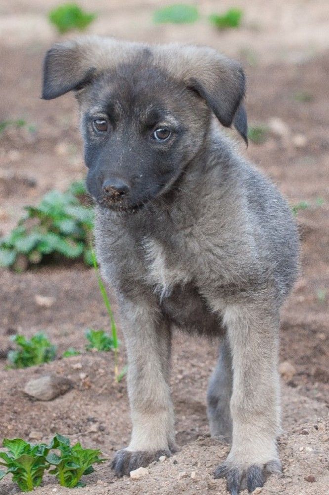 Photograph by Олег Ловцов