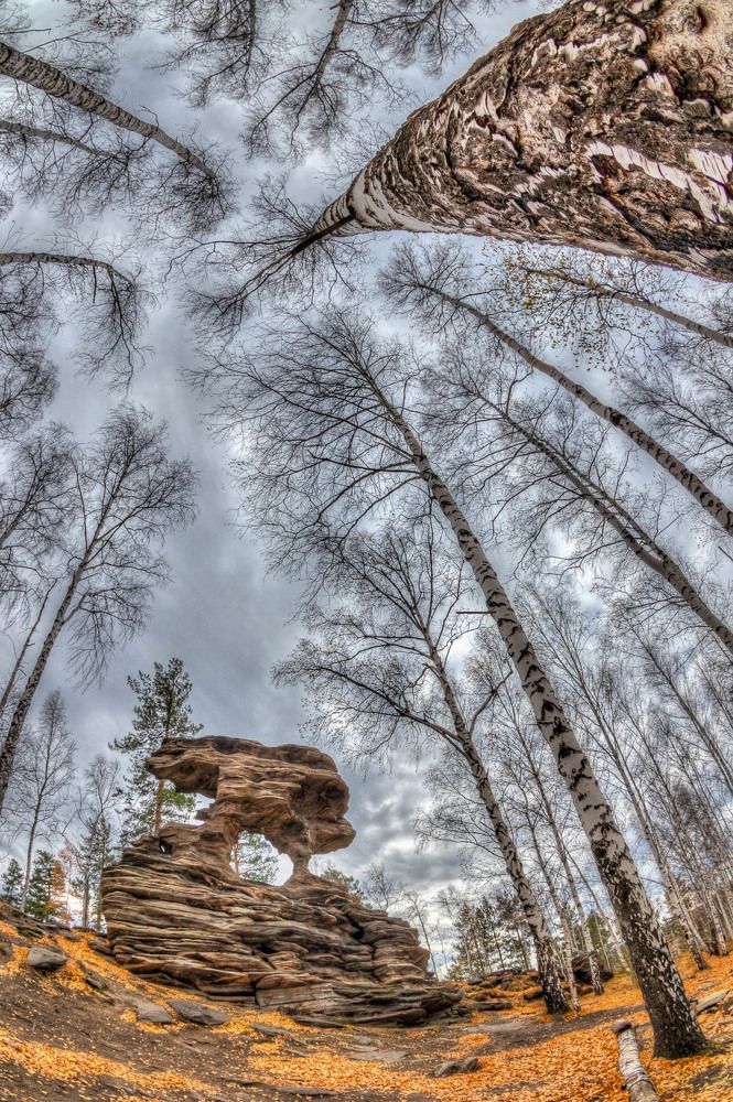 Photograph by Алексей Середенин