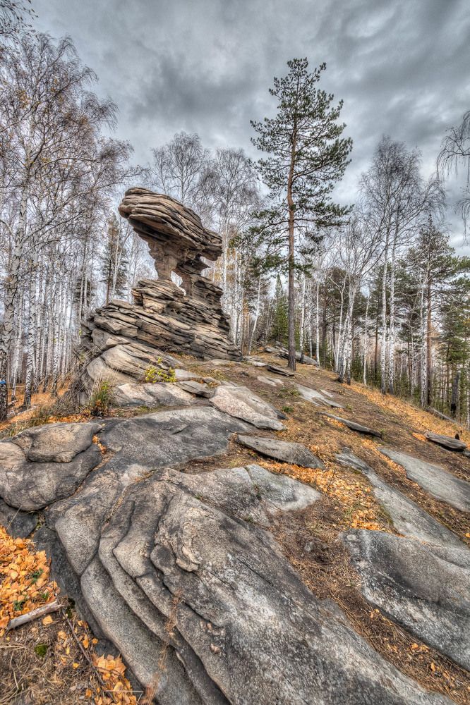 Photograph by Алексей Середенин