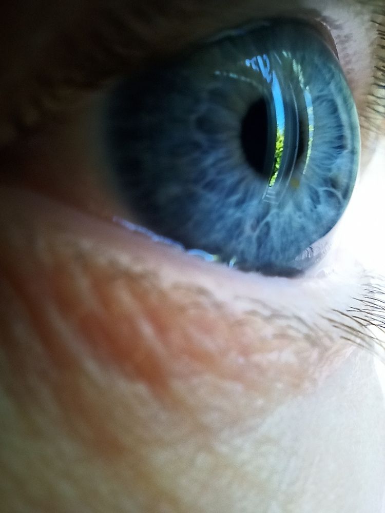 Фотография автора Paula Torrent