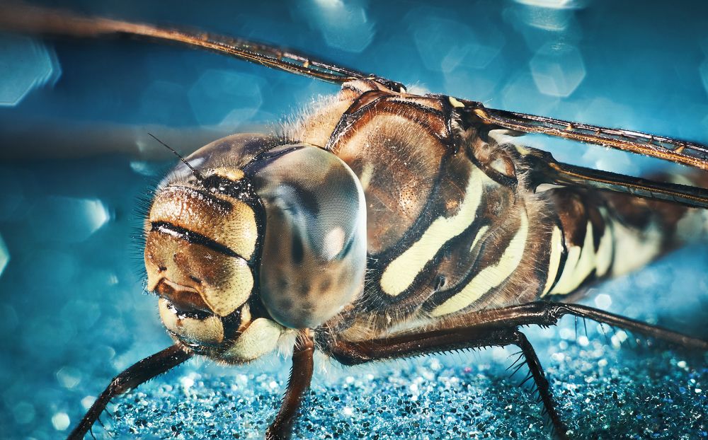 Photograph by Андрей Смирнов