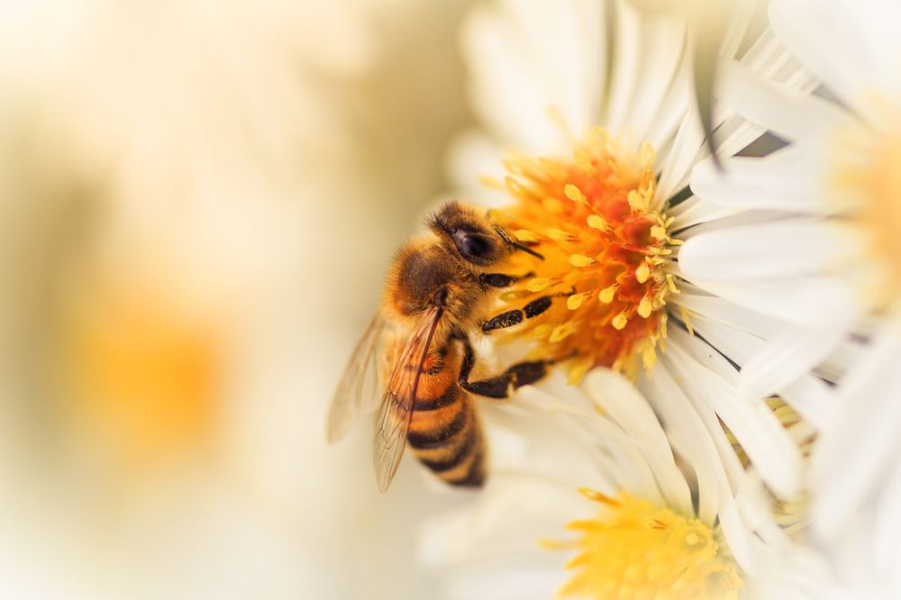 Photograph by Дмитрий Огольцов