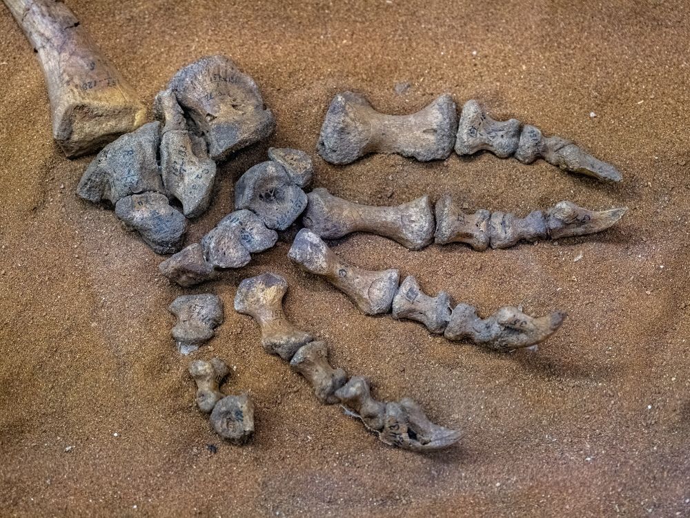 Photograph by Вячеслав Камышев