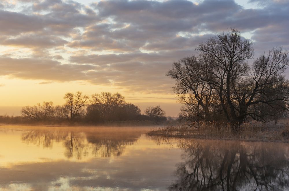 Photograph by Дмитрий Новоселов