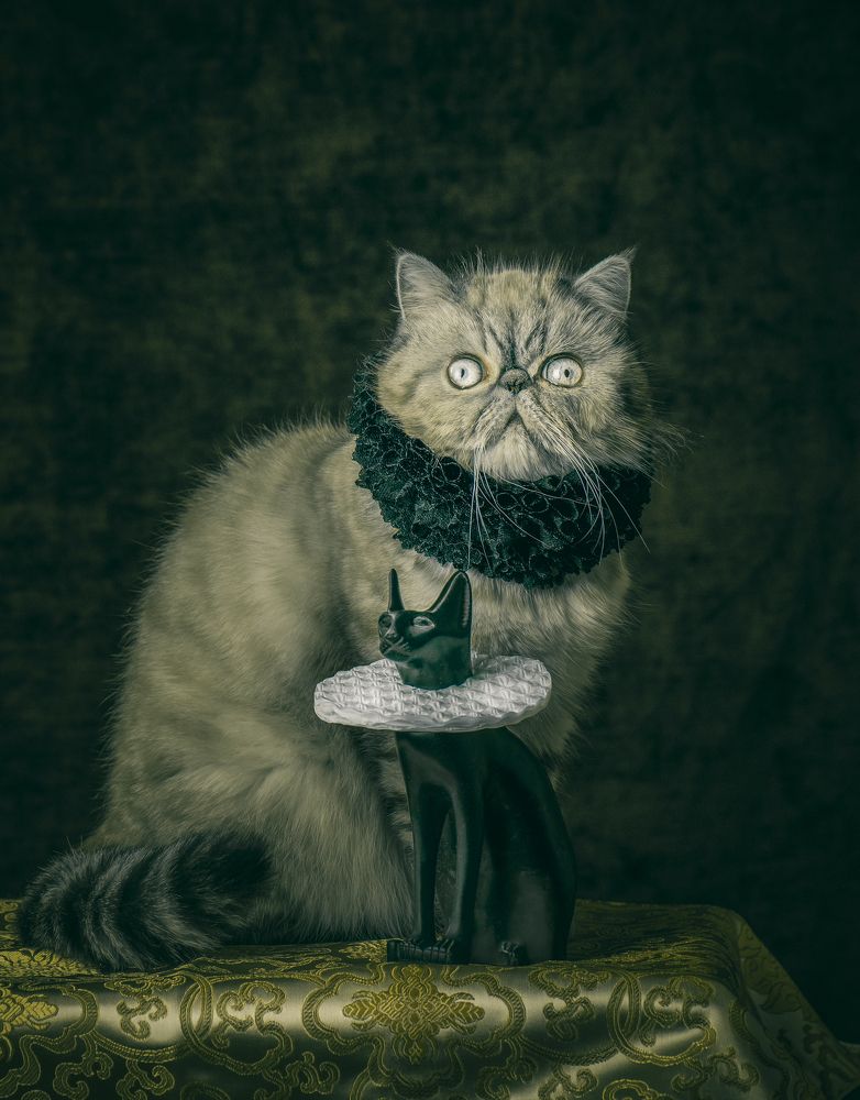 Friends will be friends:)