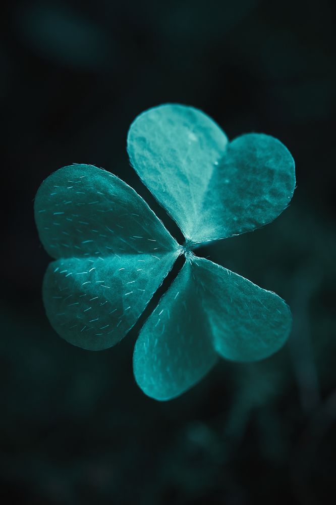 Photograph by Андрей Смирнов