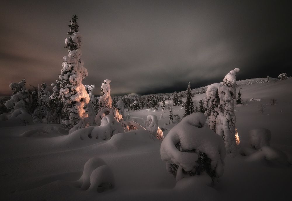 Photograph by Олег Буцкий