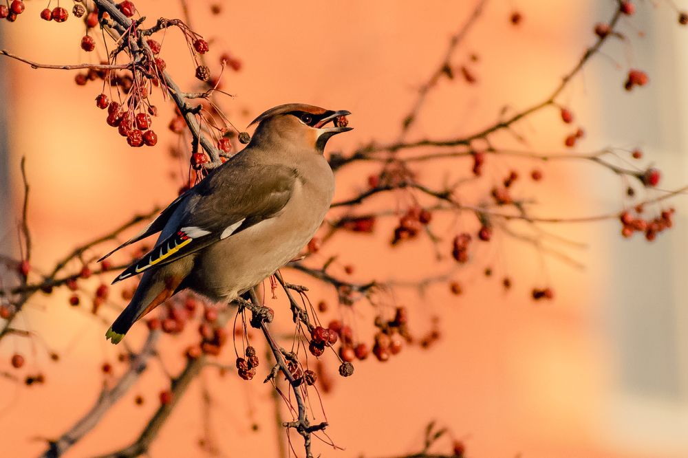 Photograph by Дмитрий Огольцов