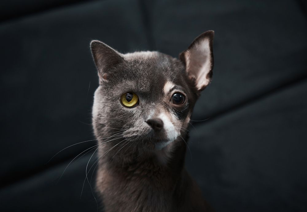 Photograph by Андрей Смирнов