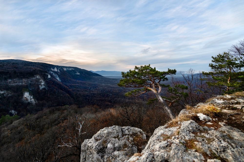 Photograph by Ирина Ульянова