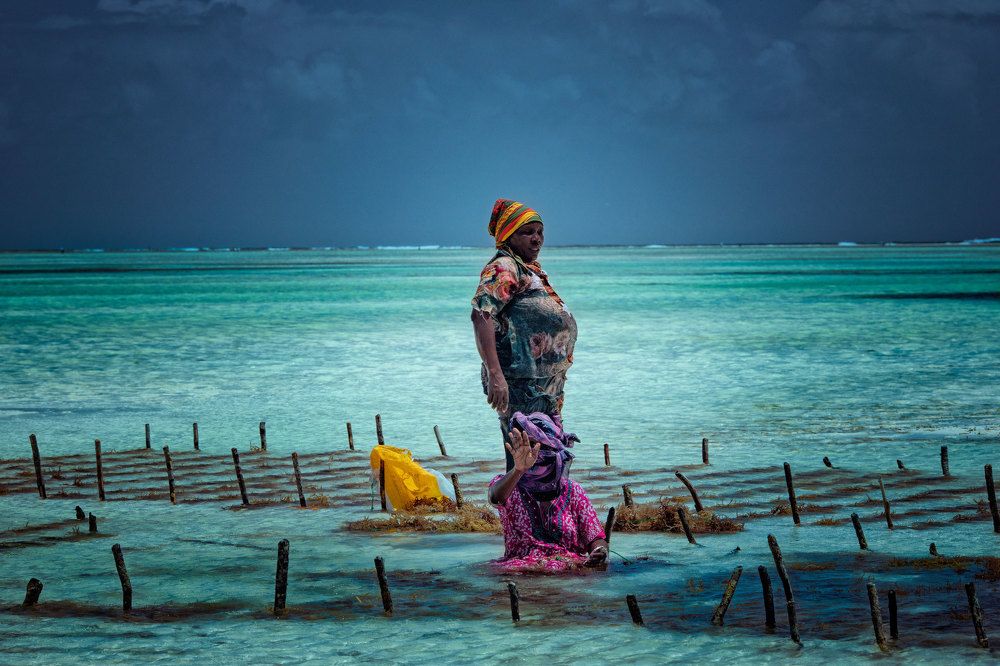 Photograph by Alexander Albert Wagner