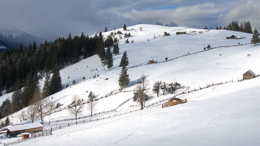 Photograph by Анна Острянко