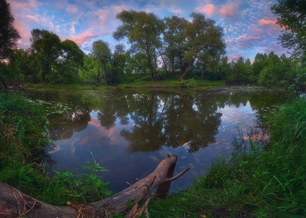 Photograph by Konstantin Voronov