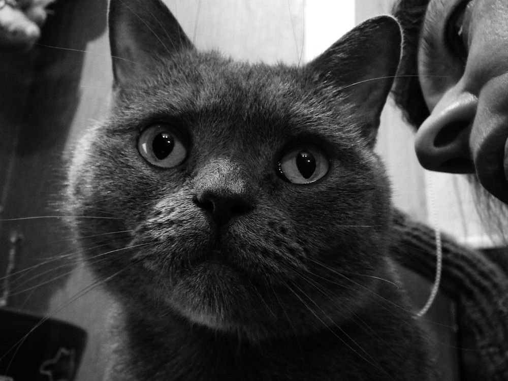 Photograph by Tsina Palynskaya