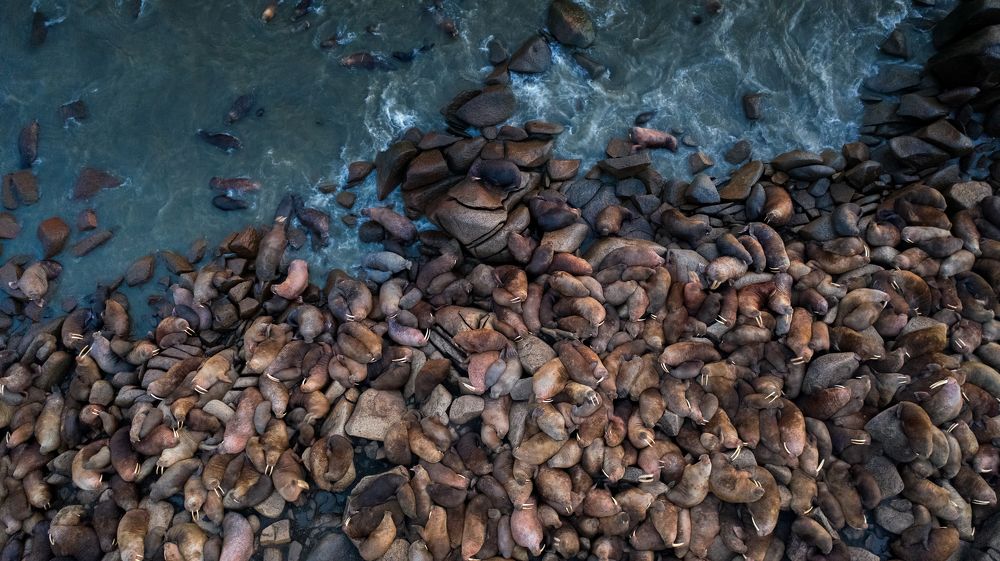 Фотография автора Александр Кузнецов